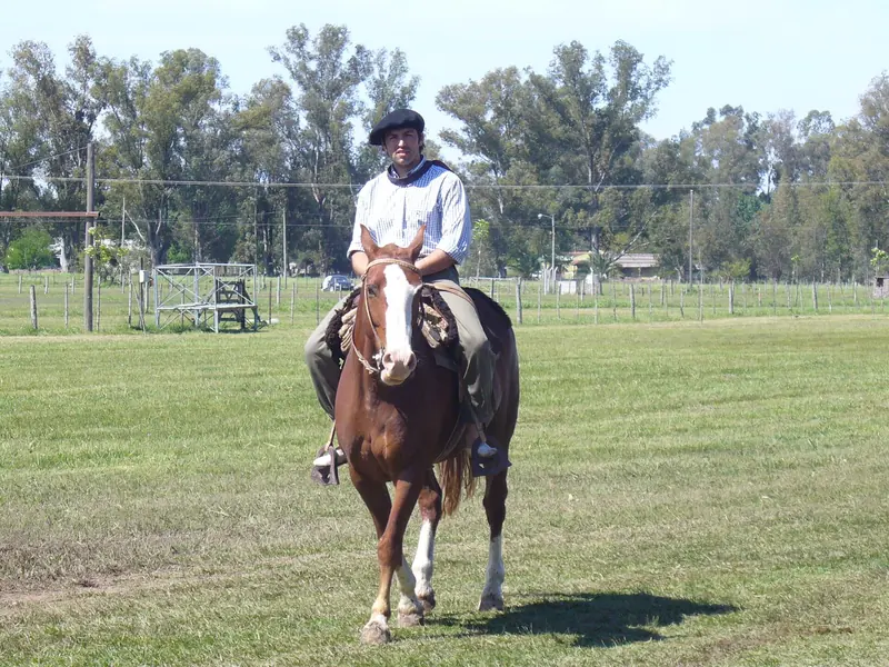 Excursión Privada a San Antonio de Areco: Pueblo Gaucho — areco campo