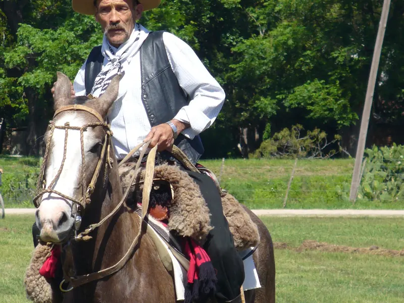 Excursión Privada a San Antonio de Areco: Pueblo Gaucho